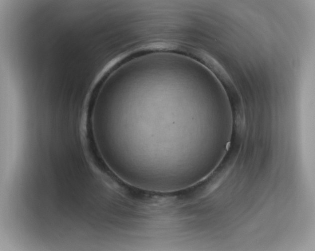 X0000114160484200910081356