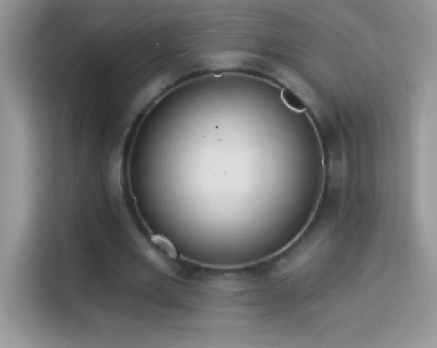 X0000114160485200910081356