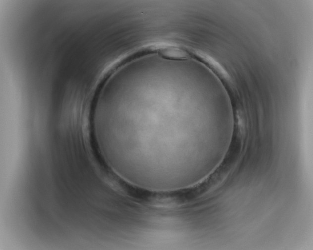 X0000114160487200910081356