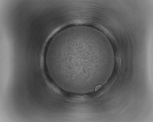 X0000114160488200910081356