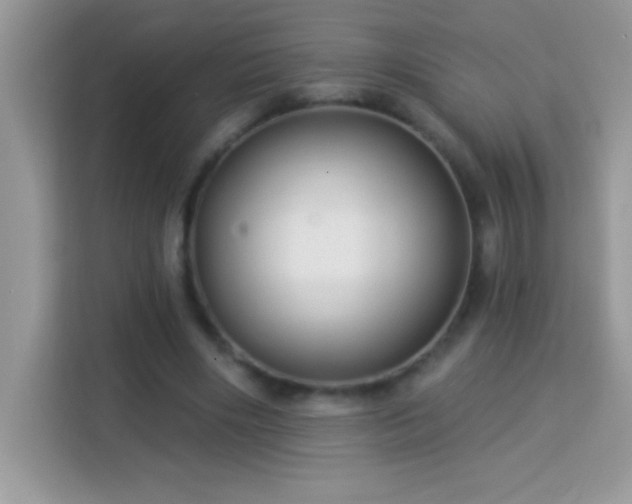 X0000114160490200910081356