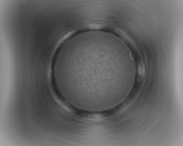 X0000114160492200910081356