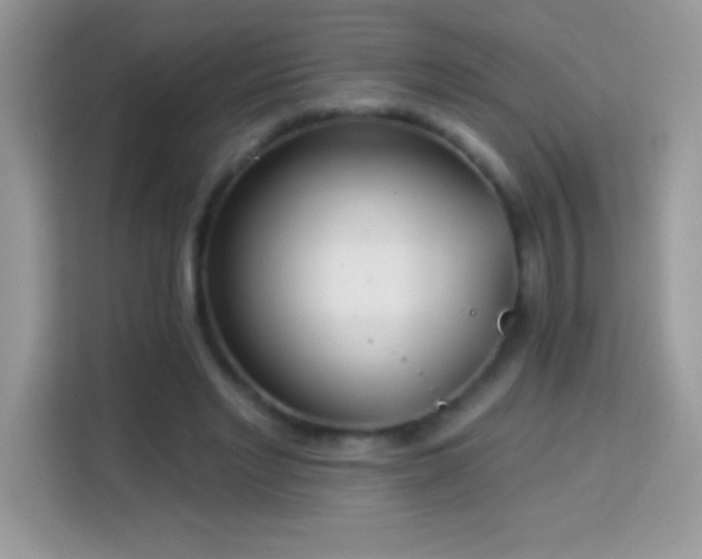 X0000114160493200910081356