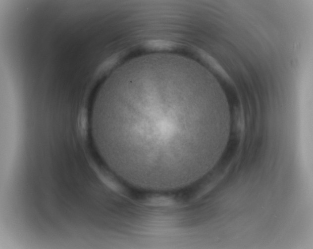 X0000114160494200910081356