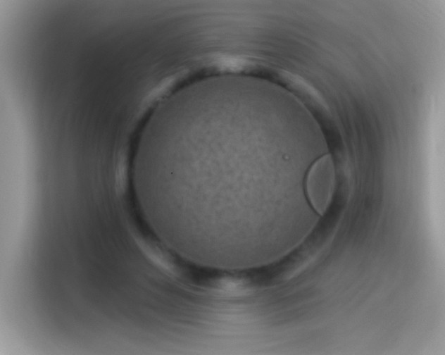 X0000114160496200910081356