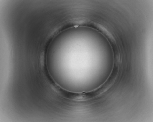 X0000114160497200910081356