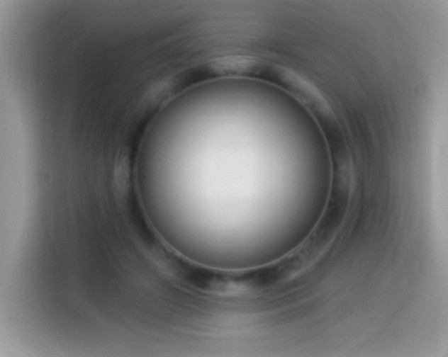 X0000114160498200910081356