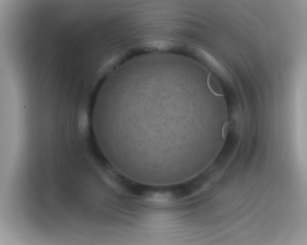 X0000114160500200910081356