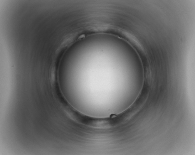 X0000114160501200910081356