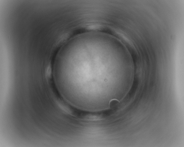 X0000114160502200910081356