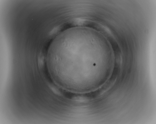 X0000114160503200910081356