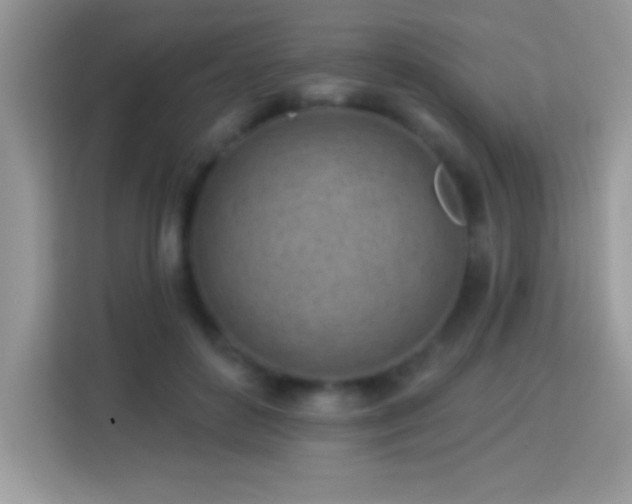 X0000114160504200910081356