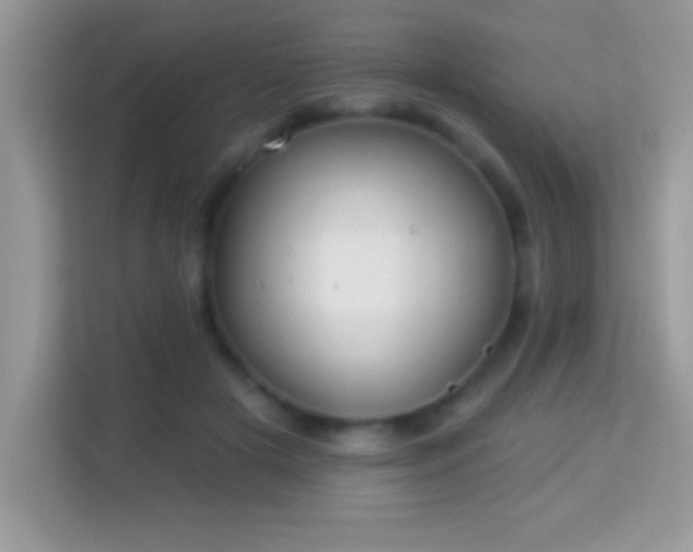 X0000114160505200910081356