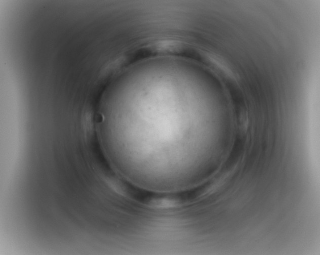 X0000114160506200910081356