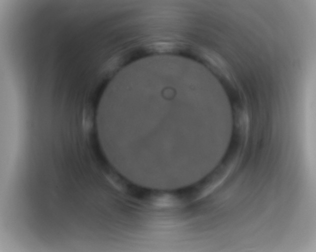 X0000114160507200910081356