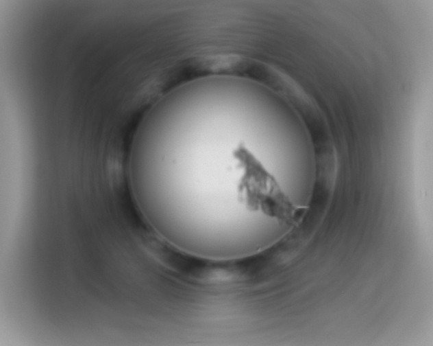 X0000114160510200910081356