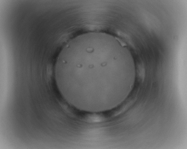 X0000114160511200910081356