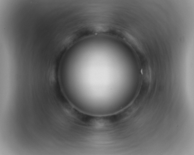 X0000114160512200910081356