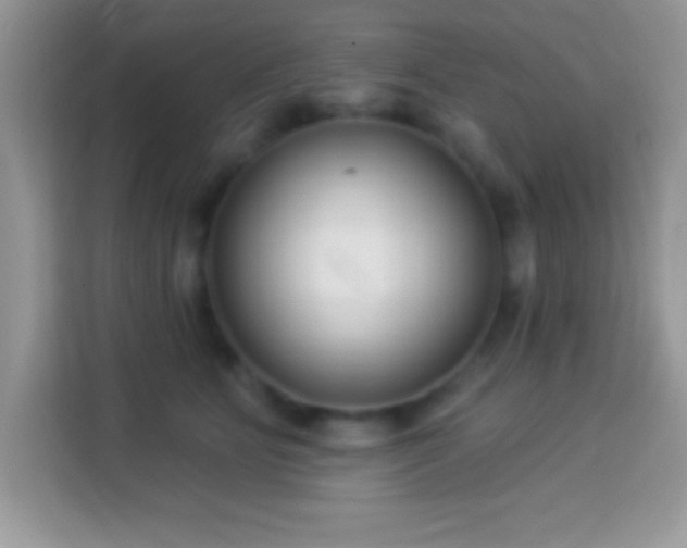 X0000114160515200910081356