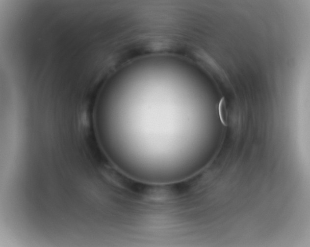 X0000114160516200910081356