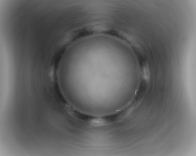 X0000114160519200910081356