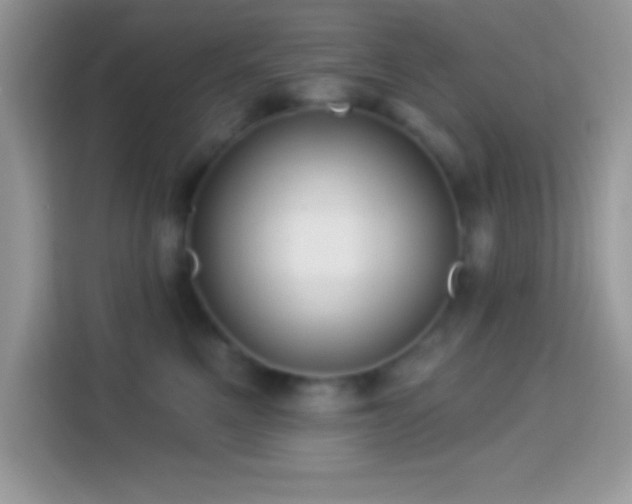 X0000114160521200910081356