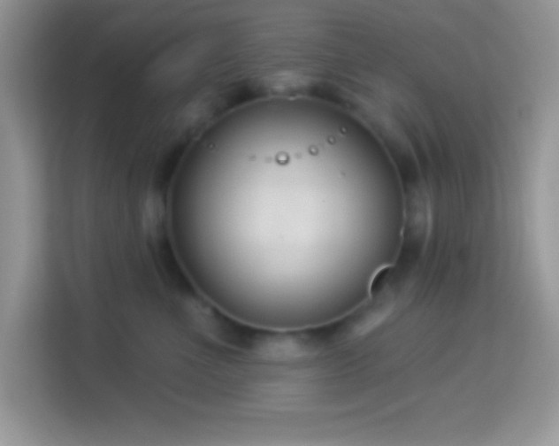 X0000114160523200910081356