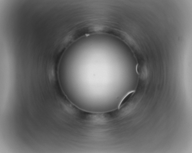 X0000114160524200910081356