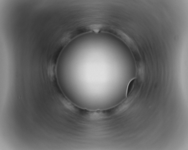 X0000114160525200910081356