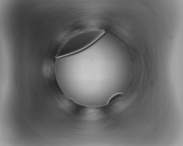 X0000114160528200910081356