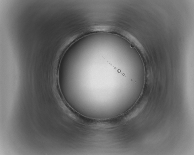 X0000114160529200910081355