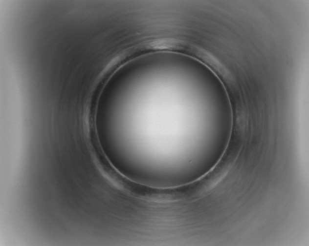 X0000114160530200910081355