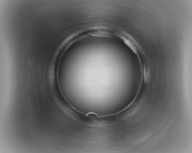 X0000114160531200910081355