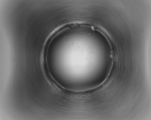 X0000114160532200910081355