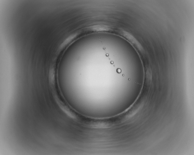 X0000114160533200910081355