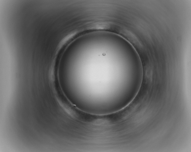 X0000114160536200910081355