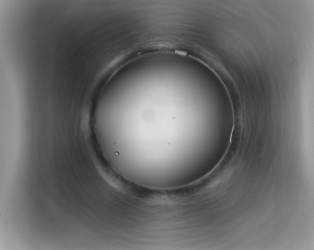 X0000114160538200910081355