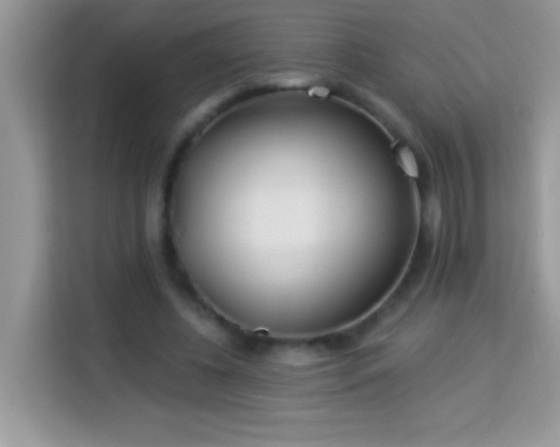 X0000114160540200910081355