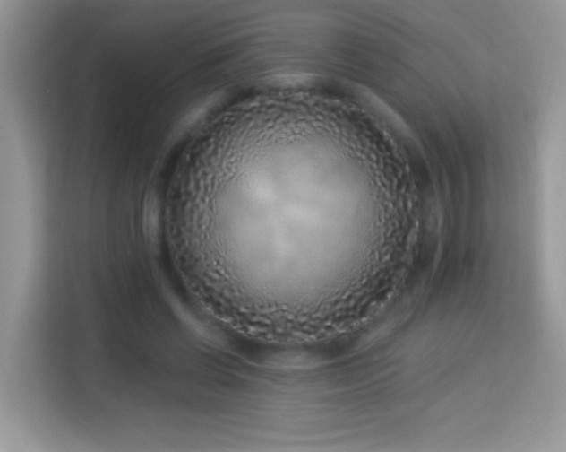 X0000114160542200910081355