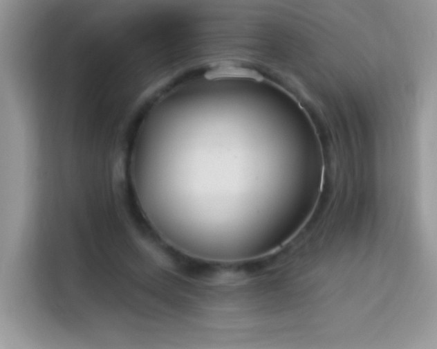 X0000114160543200910081355