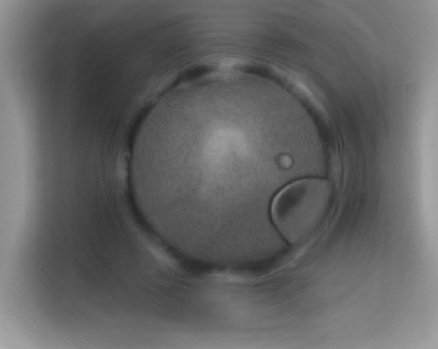 X0000114160545200910081355