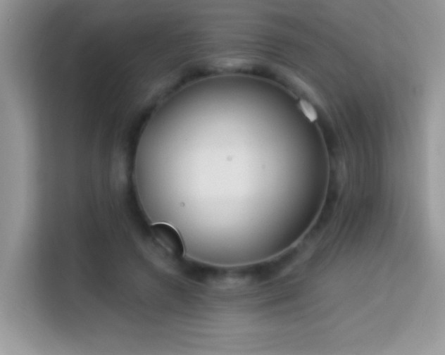 X0000114160546200910081355