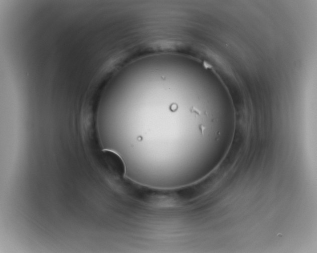 X0000114160548200910081355