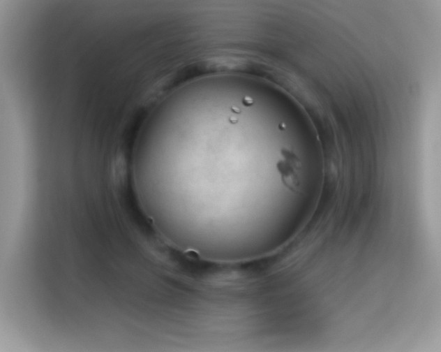 X0000114160551200910081355