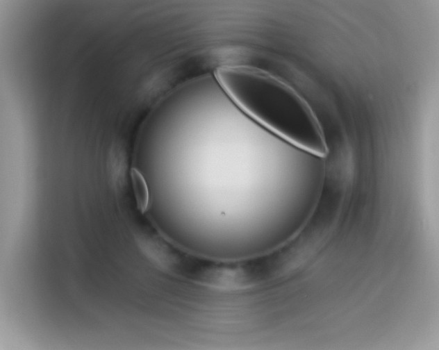 X0000114160552200910081355