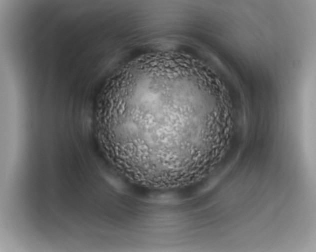 X0000114160553200910081355