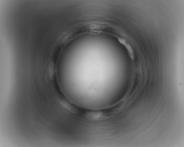 X0000114160554200910081355