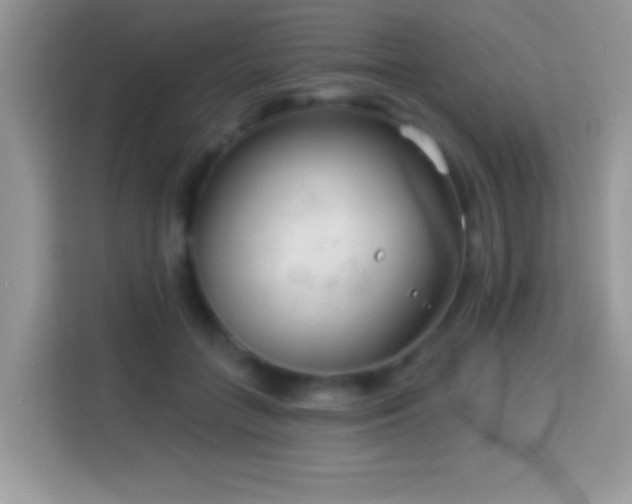 X0000114160555200910081355