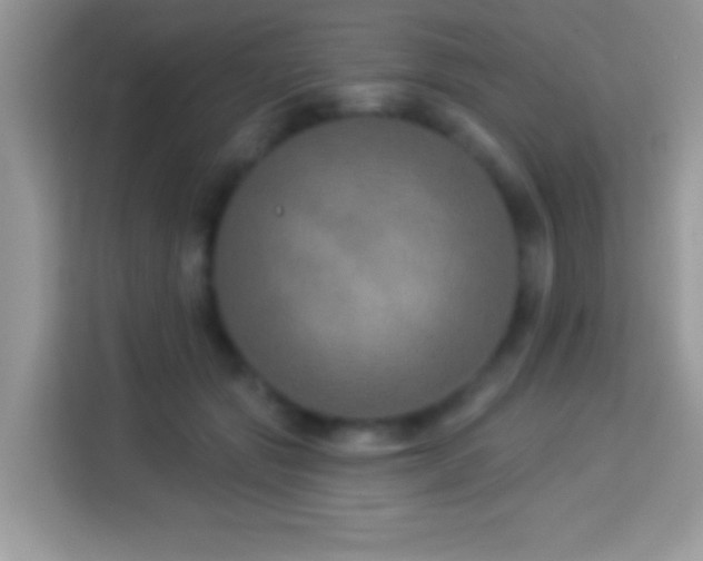 X0000114160557200910081355