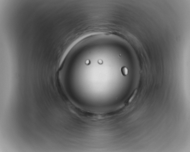 X0000114160558200910081355